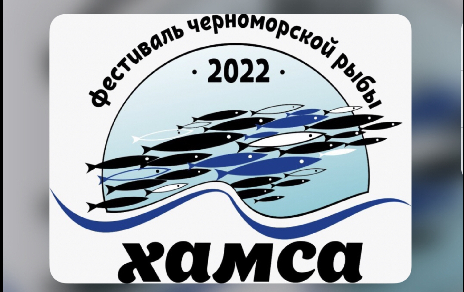 Фестиваль хамсы. Хамса фест Новороссийск. Фестиваль в Новороссийске 2022. Фестиваль хамсы в Новороссийске.